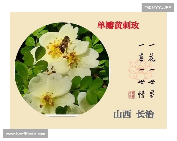 50岁艾弗森痛改前非半年戒酒自称找回自我称这是人生最正确决定之一